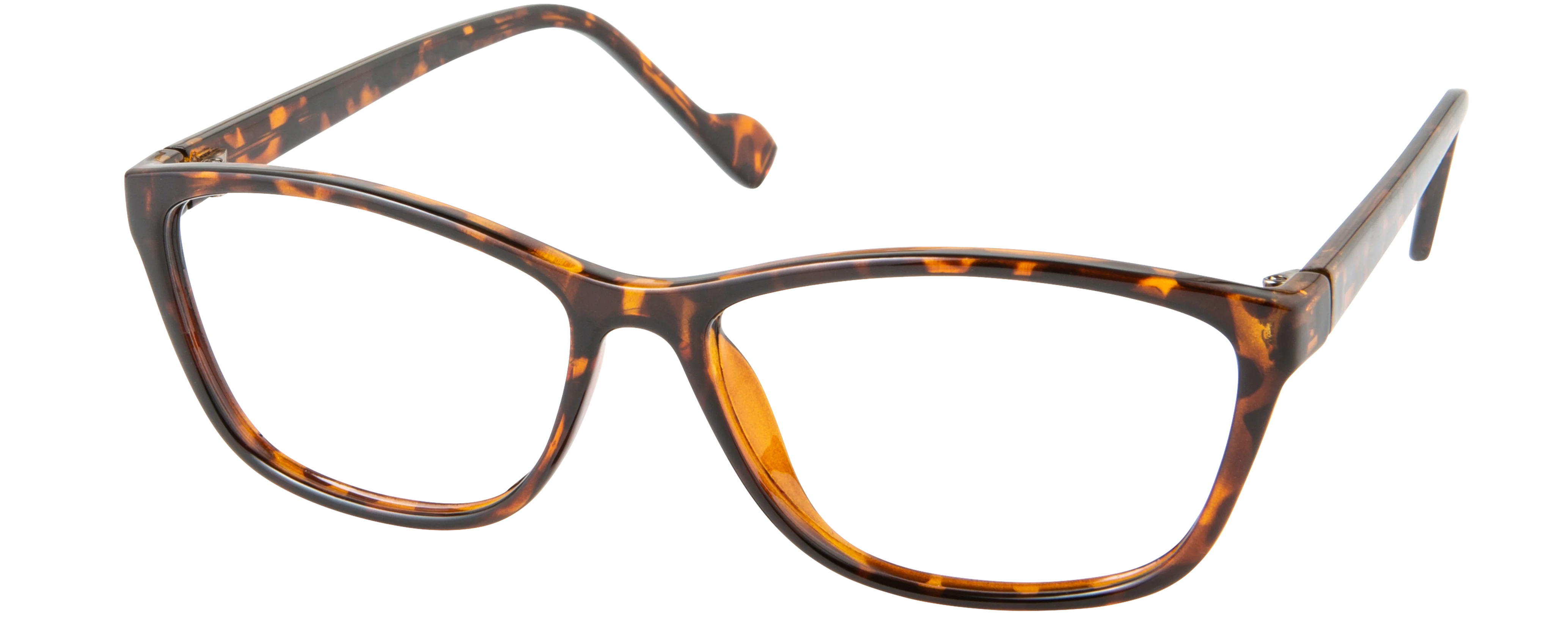 ECV BRENDA - Image 2